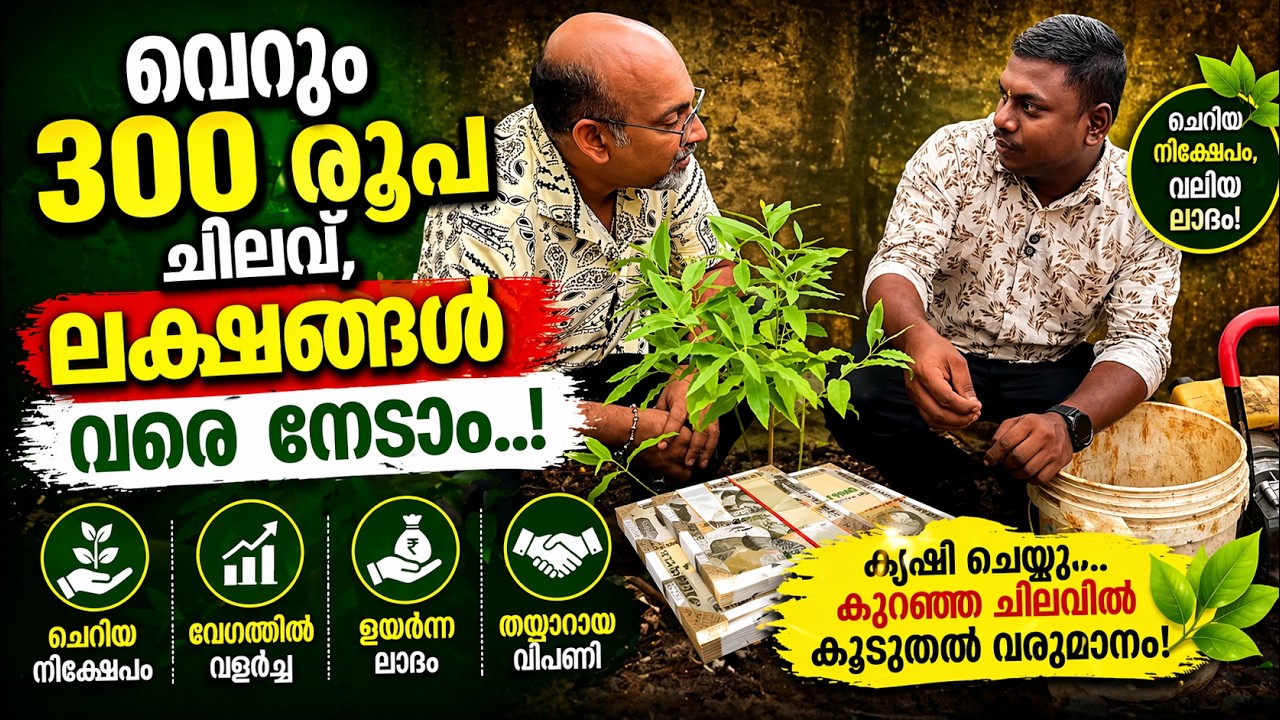 വെറും 300 രൂപ ചിലവ്  , ലക്ഷങ്ങൾ വരെ നേടാം