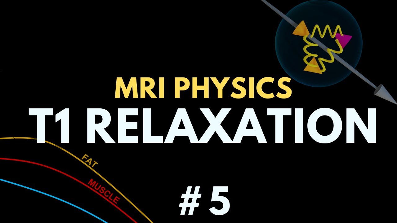 T1 Relaxation, Spin-lattice Relaxation, Longitudinal Recovery | MRI Physics Course #5