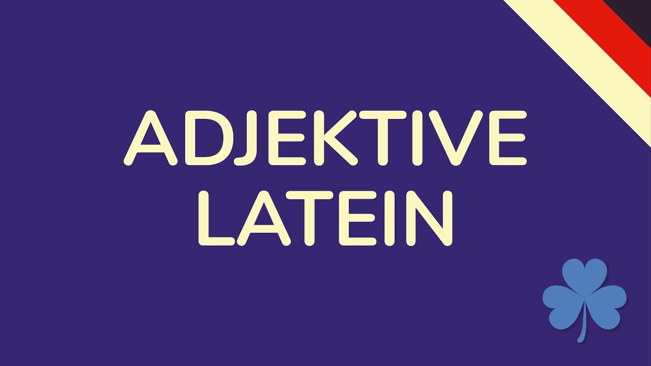Alles über LATEINISCHE ADJEKTIVE | LATEIN (animiert) 🇩🇪