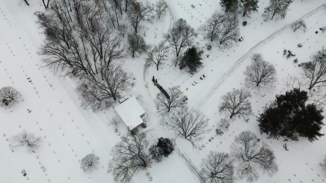 Snow storm North Attleboro M.A. 2026. @Mini3pro 