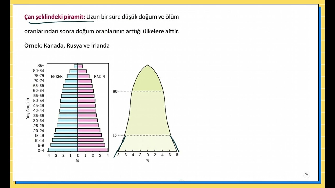 53 Nüfus Piramitleri