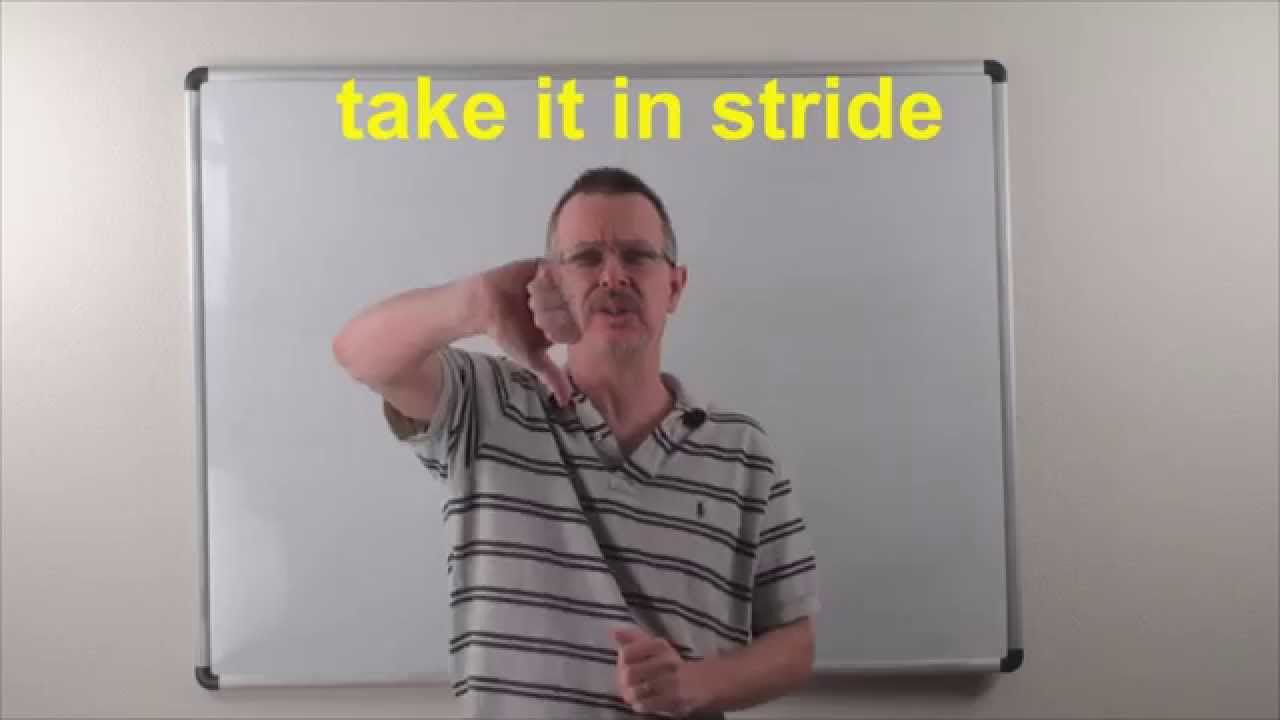 Learn English: Daily Easy English Expression 0787: to take it in stride