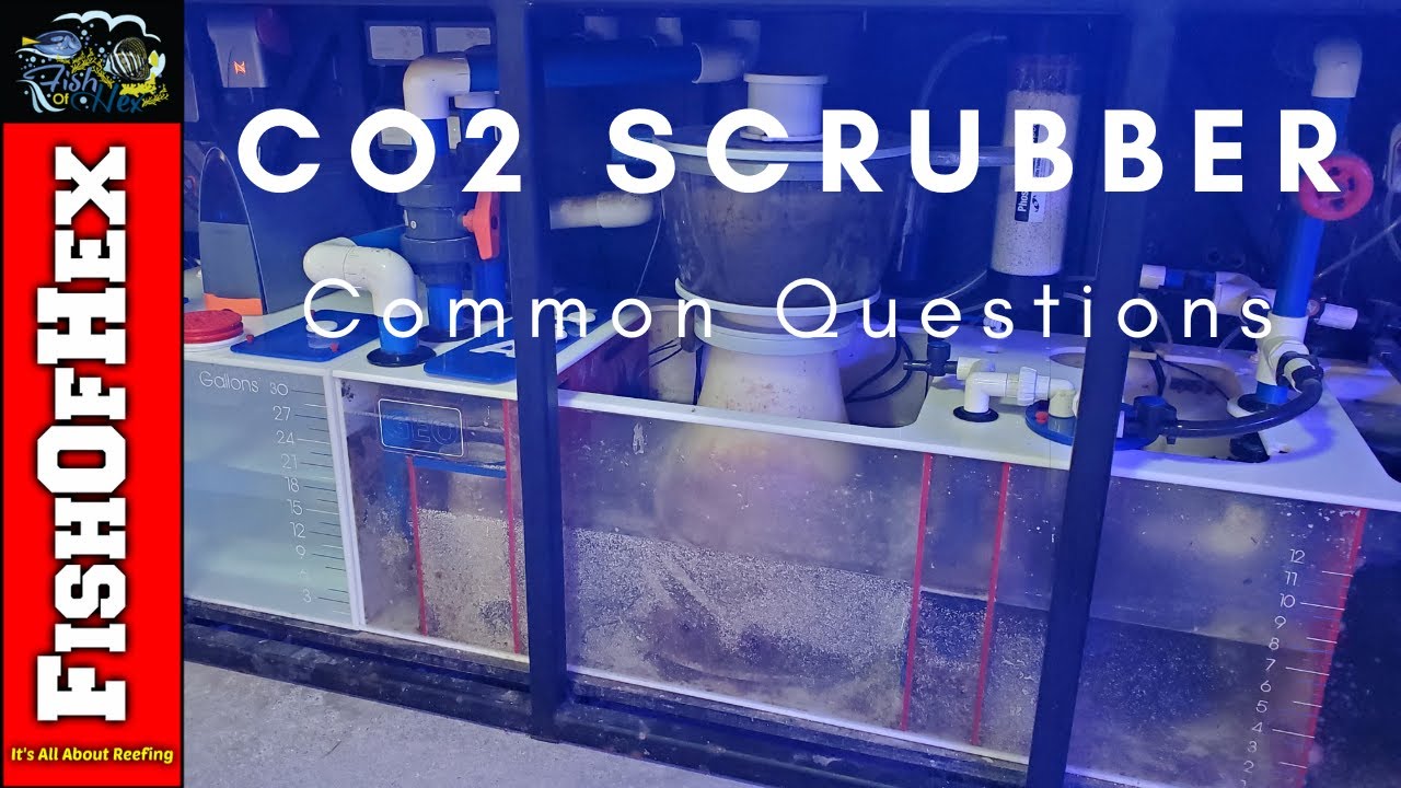 Ответы на распространённые вопросы о скрубберах CO2 | Рециркуляционное устройство