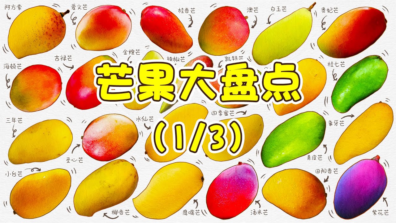 1/3 芒果大盘点：带你了解不同种类的芒果