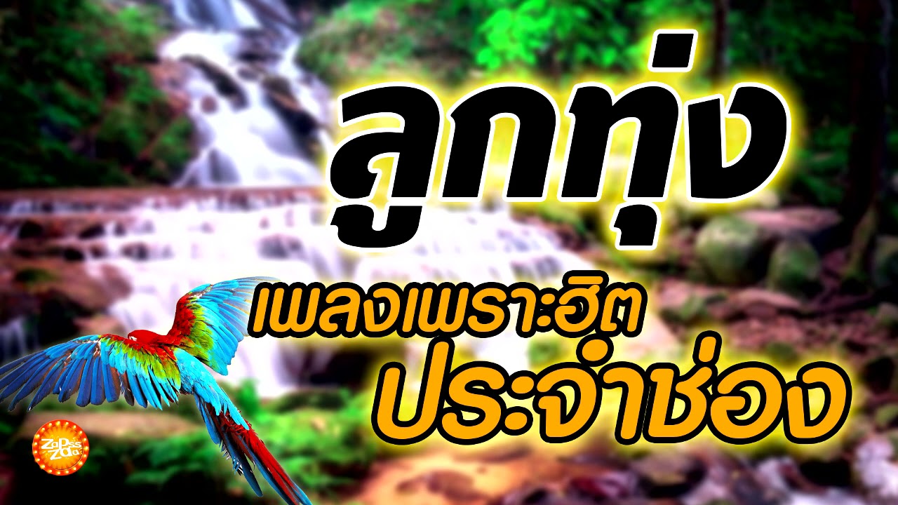เพลงลูกทุ่งเพราะฮิตประจำช่อง ทักทายยามเช้า