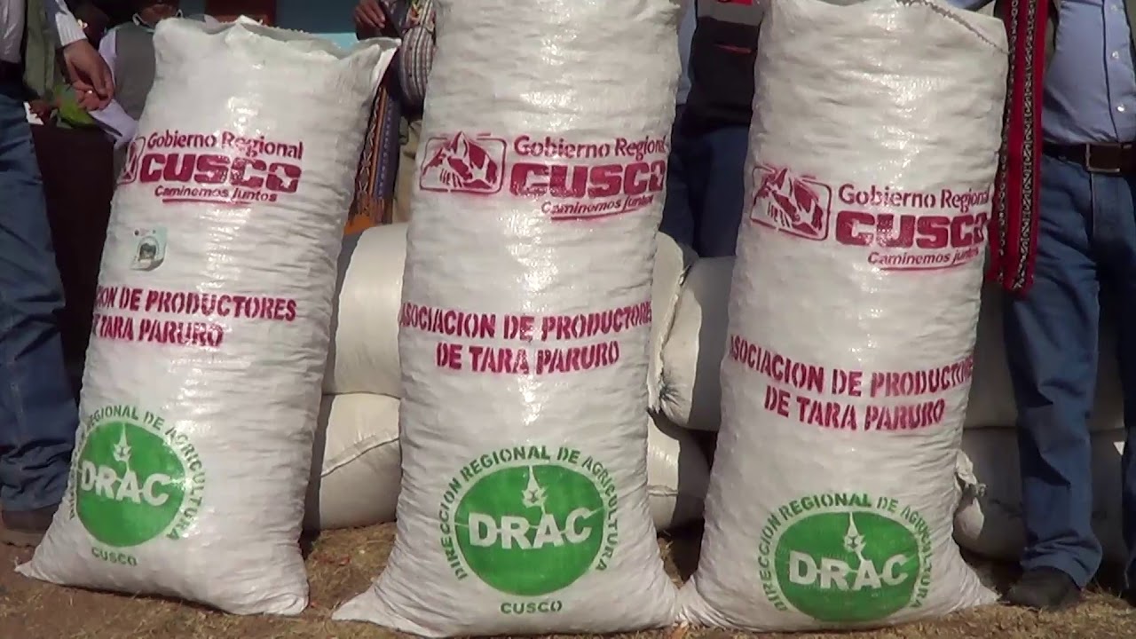 REPORTAJE TARA- DIRECCIÓN REGIONAL DE AGRICULTURA- CUSCO