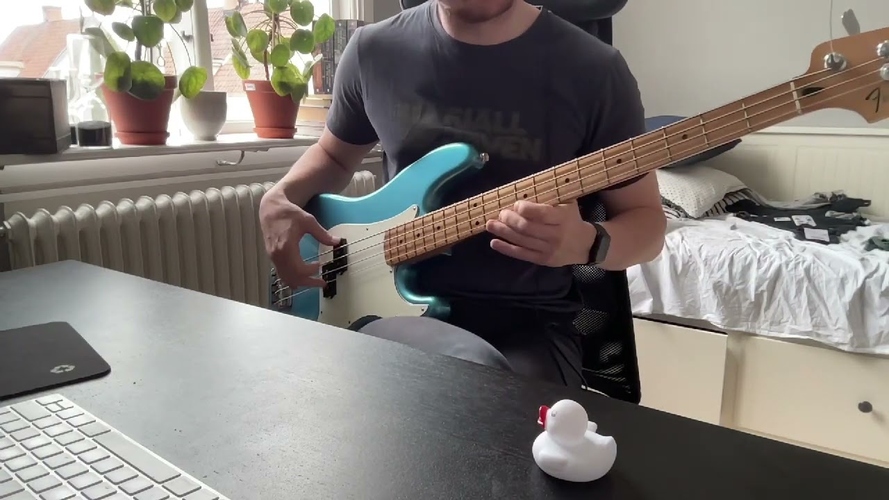 Around the world | Red Hot Chili Peppers - Bass cover