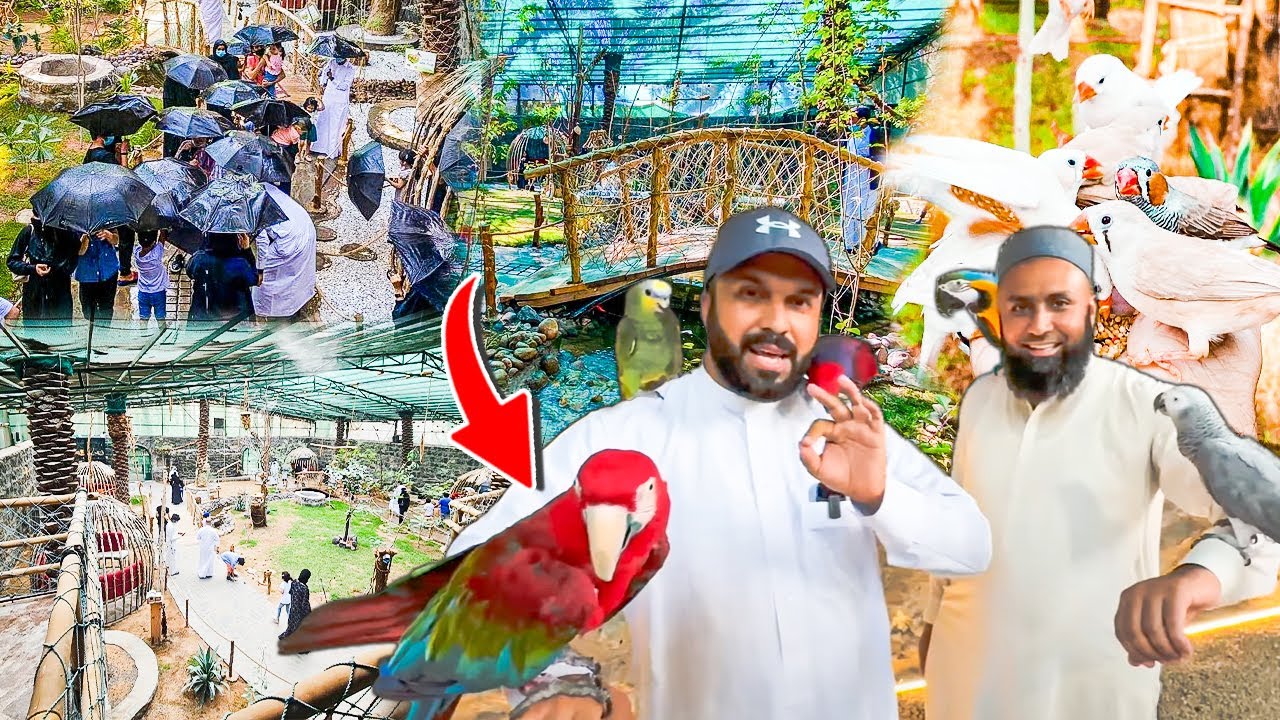 Madina Family Garden - Artificial Rain 🌧 Birds & Parrots 🦜 - Full Enjoyment 🤩