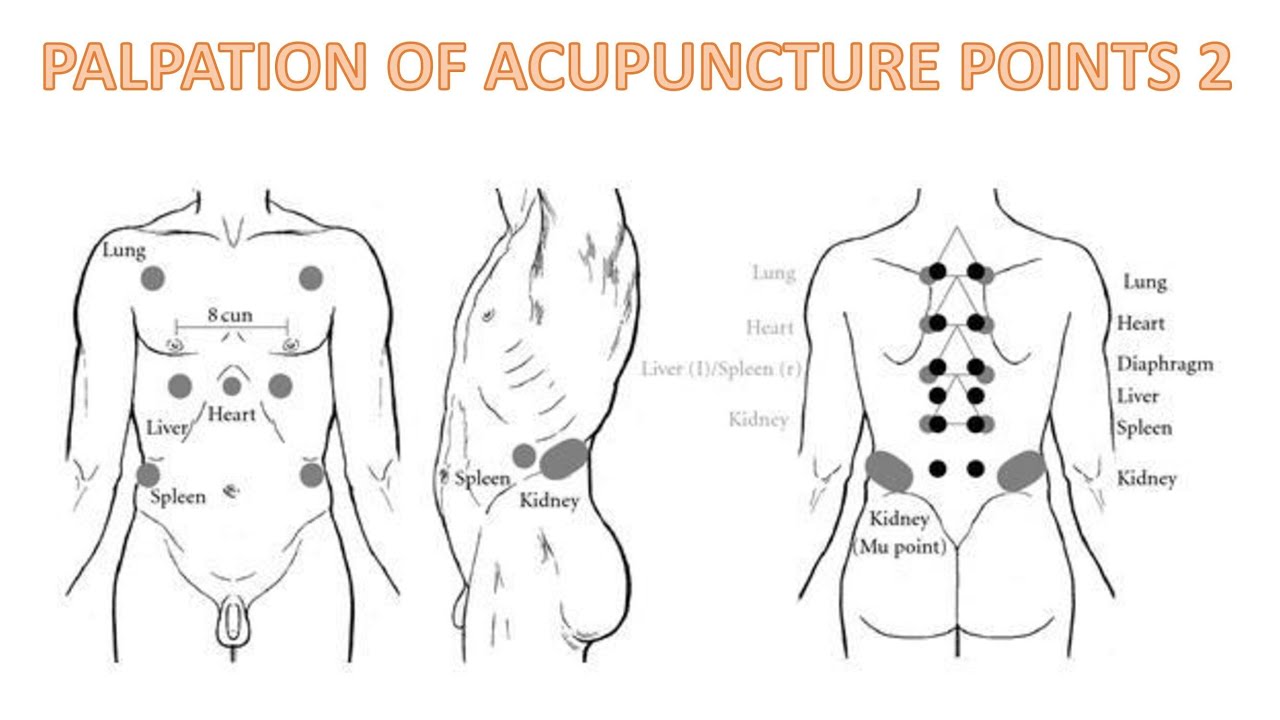 PALPATION OF FRONT-MU, BACK-SHU, YUAN-SOURCE POINTS