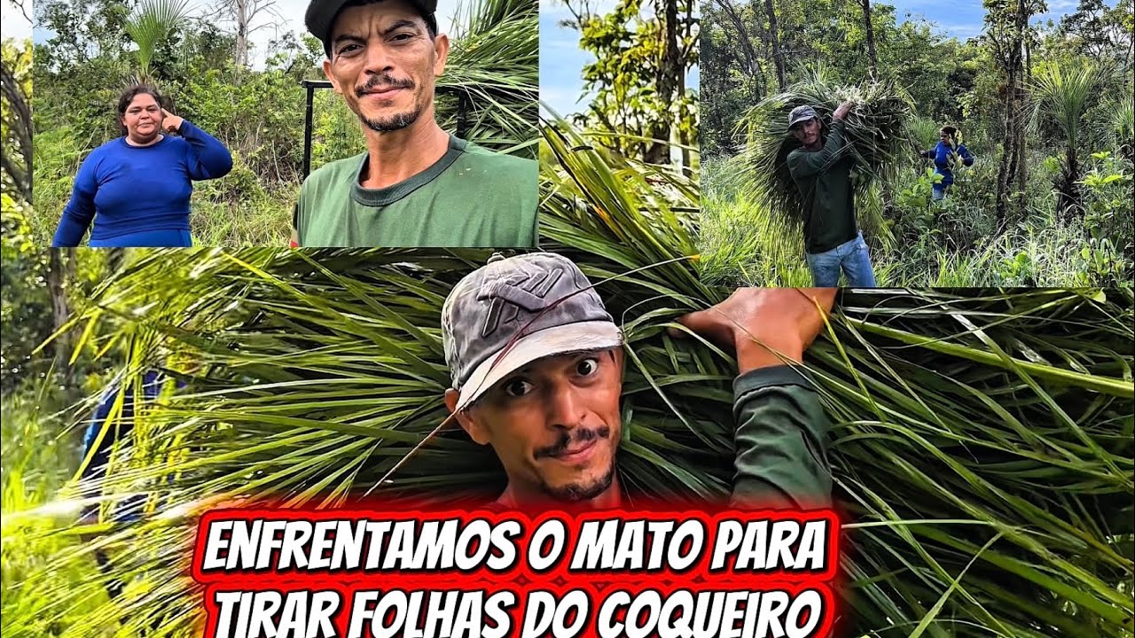 Não teve jeito tivemos que ir 
