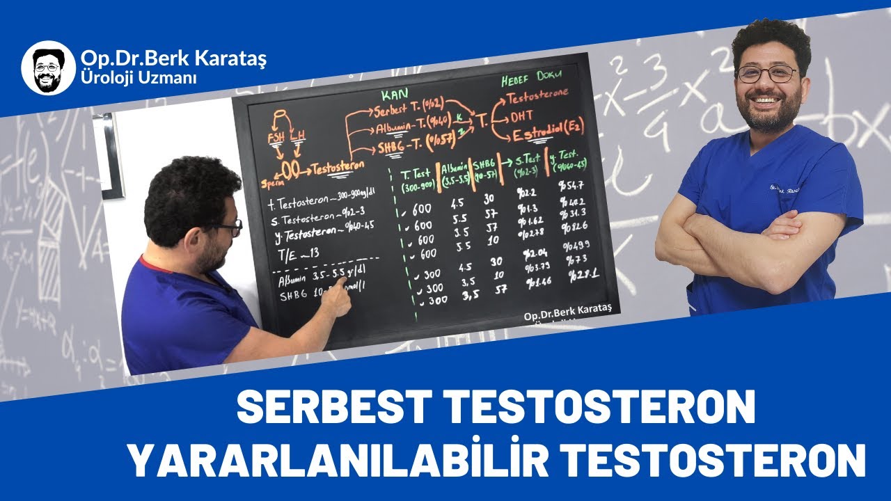 Testosteron Düzeyi Doğru Değerlendirme/ Serbest Testosteron /Yararlanılabilir testosteron