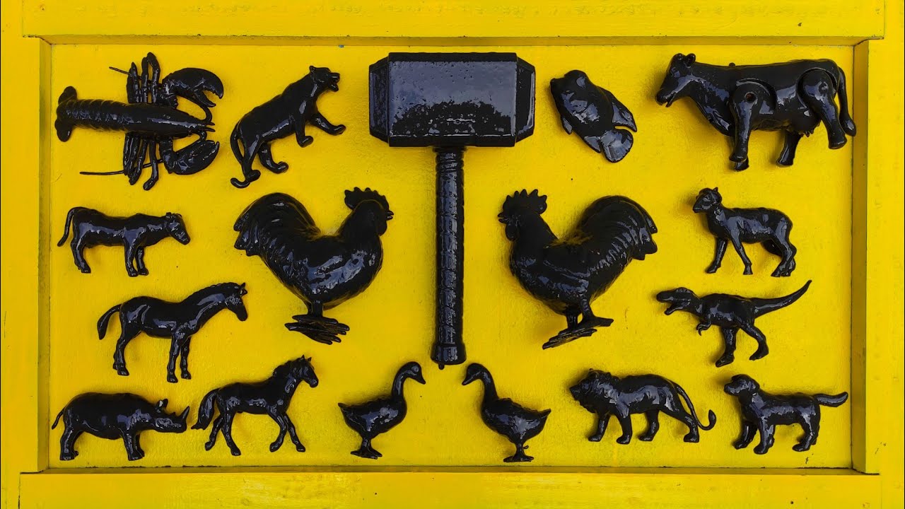 Membersihkan hewan sapi, bebek, angsa, ayam, gajah, simpanse, singa, unta, buaya, kangguru