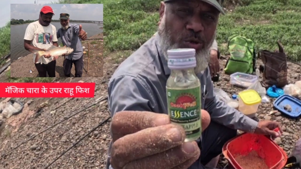 कोन से   चारा. के ऊपर 100% फिश लगती है /  how to catch rohu katla fish#carpbait #fishingbait