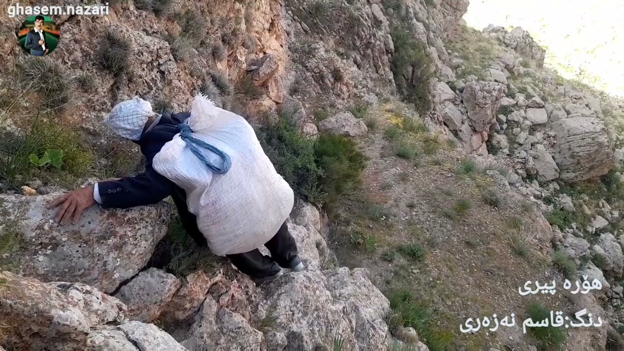 هوره پیری قاسم نظری                              ghasem.nazari