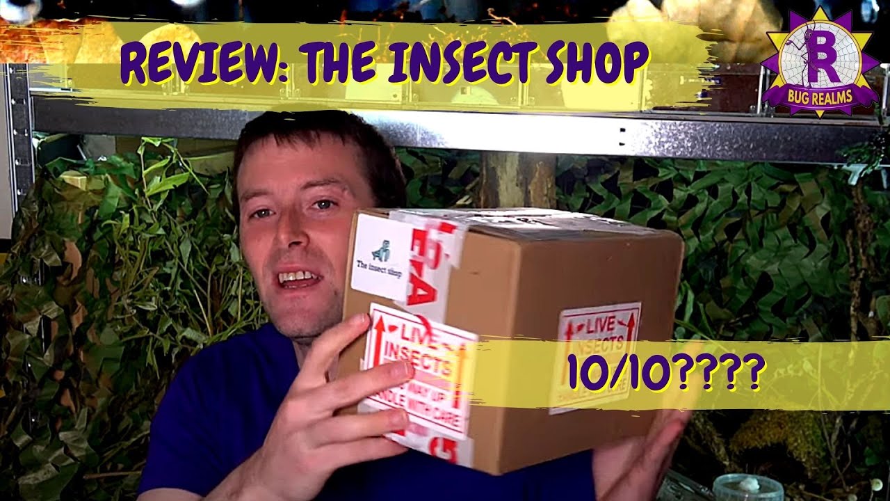 UNBOXING & REVIEW from The Insect Shop!