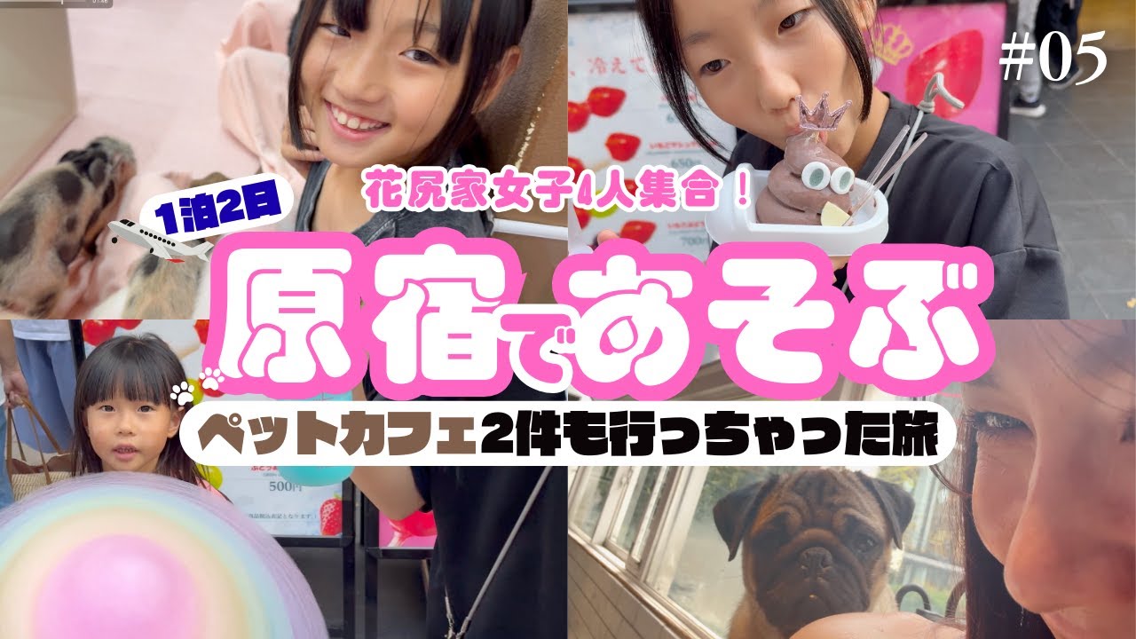 【原宿竹下通り】子どもと原宿楽しんできた！食べ歩きグルメやペットカフェを大満喫！