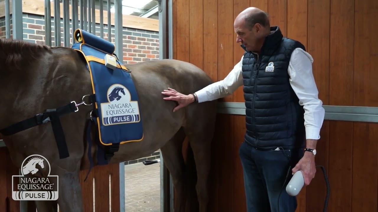 Equissage - treating Lymphangitis