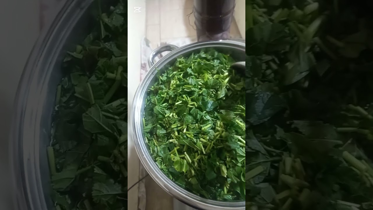 Tam mevsiminde ebegumeci zamanı 