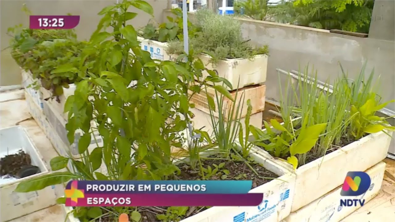 Horta Urbana &eacute; no terra&ccedil;o de uma casa