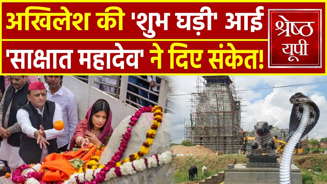 Akhilesh Yadav के Kedareshwar Mandir में निकला King Cobra, खुल जाएगी किस्मत!