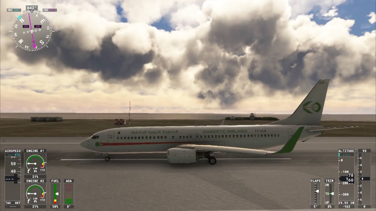 BOEING 737-800 DOMESTIC AIRLINES 🛫 DEPART : NICE ( FRANCE ) 🛬 ARRIVEE : ALGER ( ALGERIE )