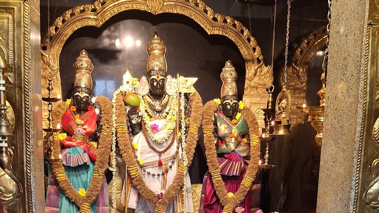  Divine Blessings Experience Thaipusam at Highgate Hill Murugan Temple | kavady