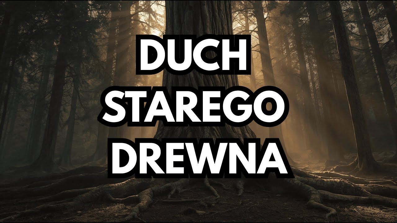 Słowiańska Dusza – 🪵DUCH STAREGO DREWNA🪵| Stabilność | Ugruntowanie | Spokój | Muzyka Relaksacyjna |