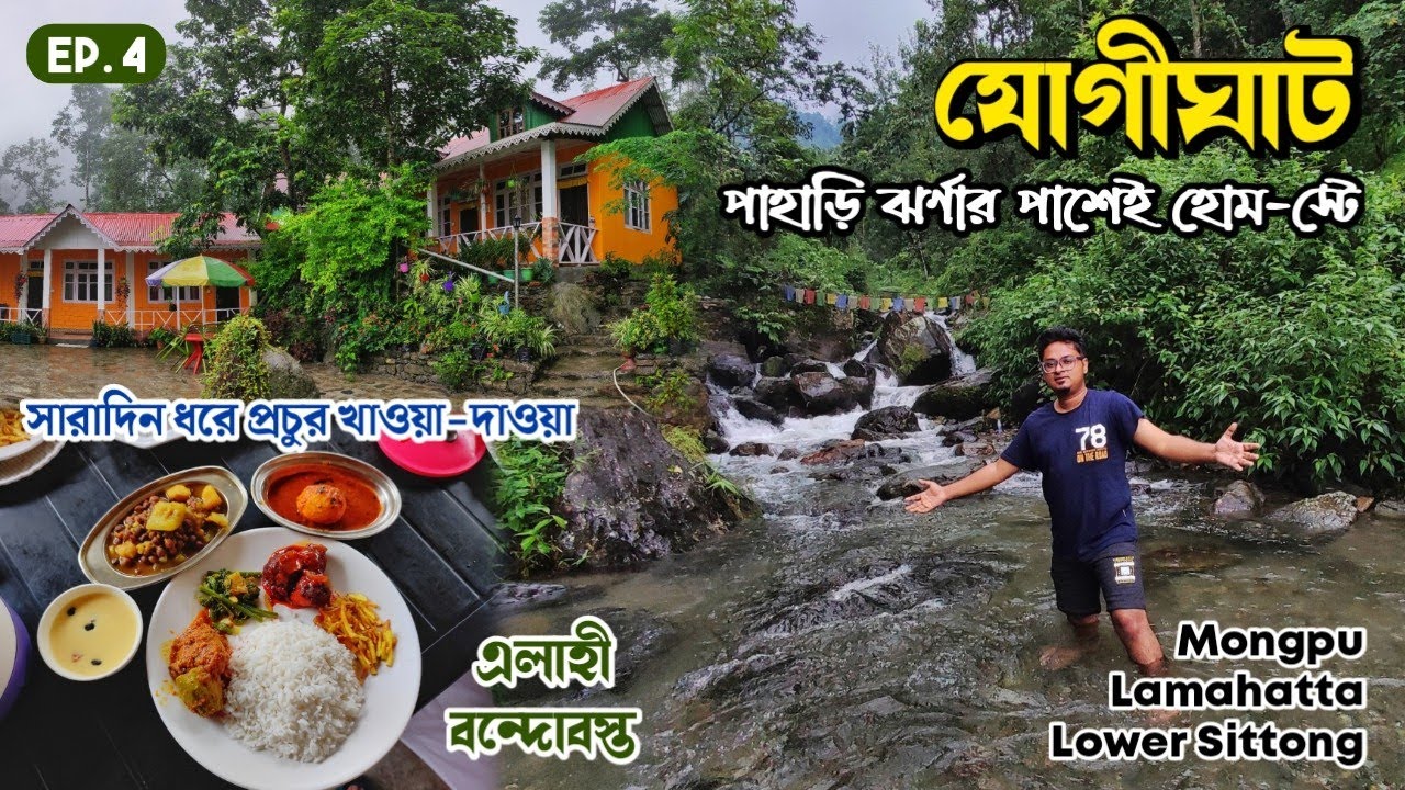 দার্জিলিংয়ে পাহাড়ি ঝর্ণার পাশে অফবিট হোমস্টে🏕️ Sittong Homestay,Jogighat,Mongpu | Offbeat Darjeeling
