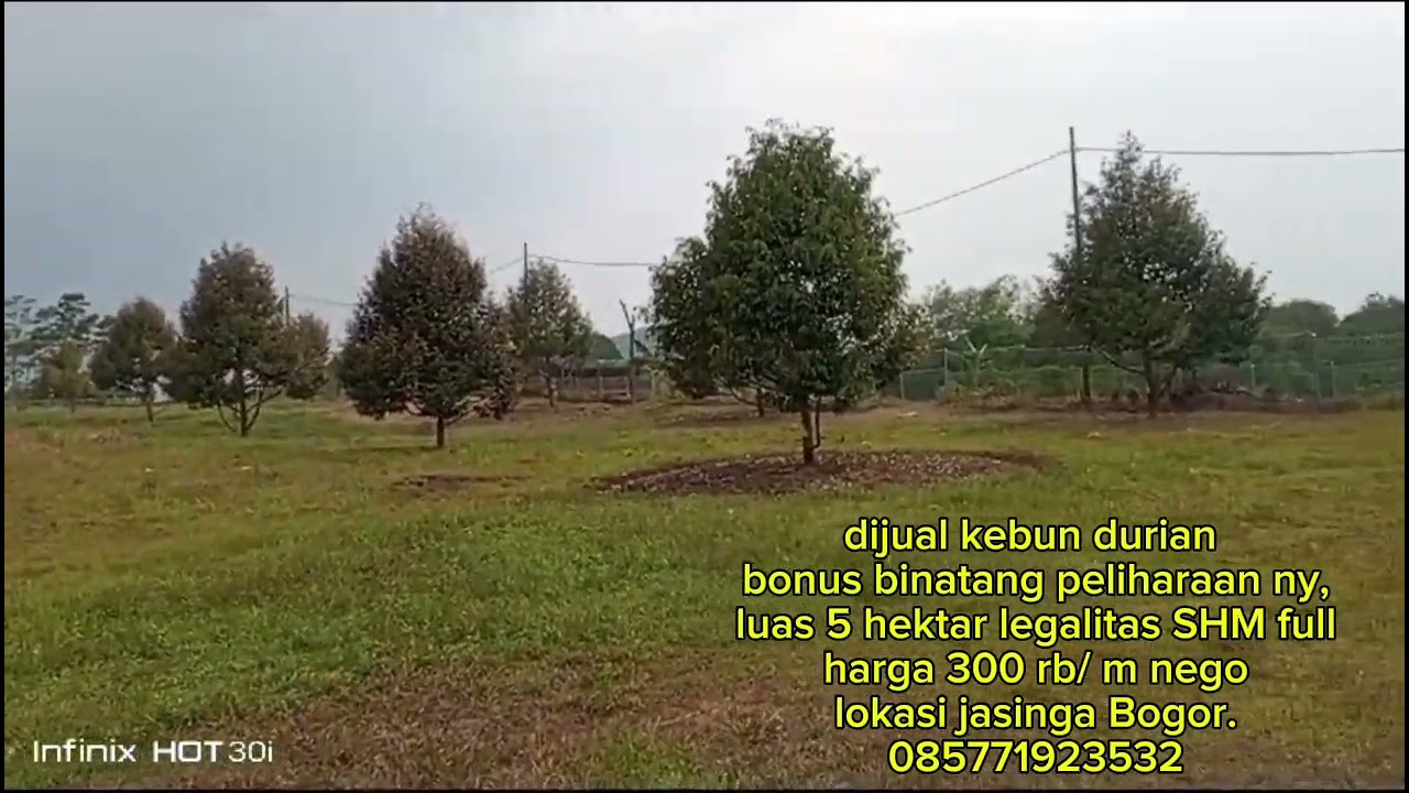 dijual kebun durian luas 5 ha ,full SHM,hrg 300 rb/ m nego,lokasi Jasinga Bogor.085771923532