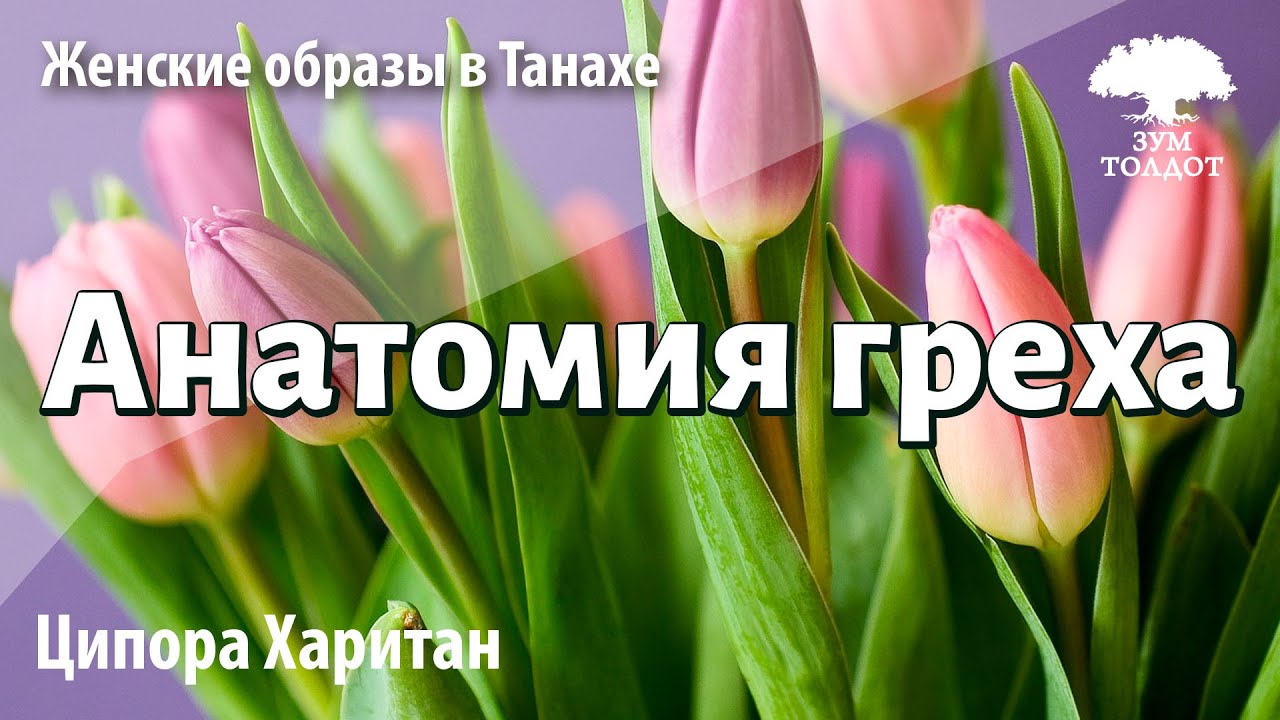 Урок для женщин. Анатомия греха. Ципора Харитан