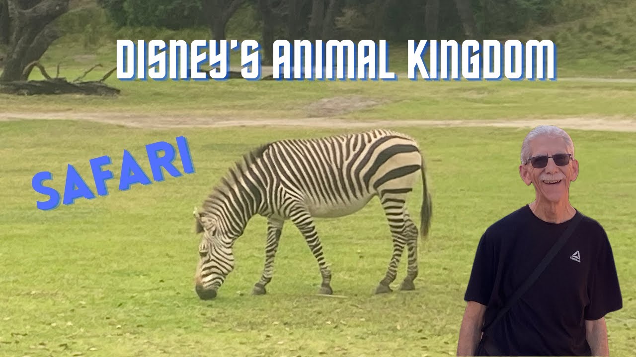 A Wild Adventure at Disney's Animal Kingdom
