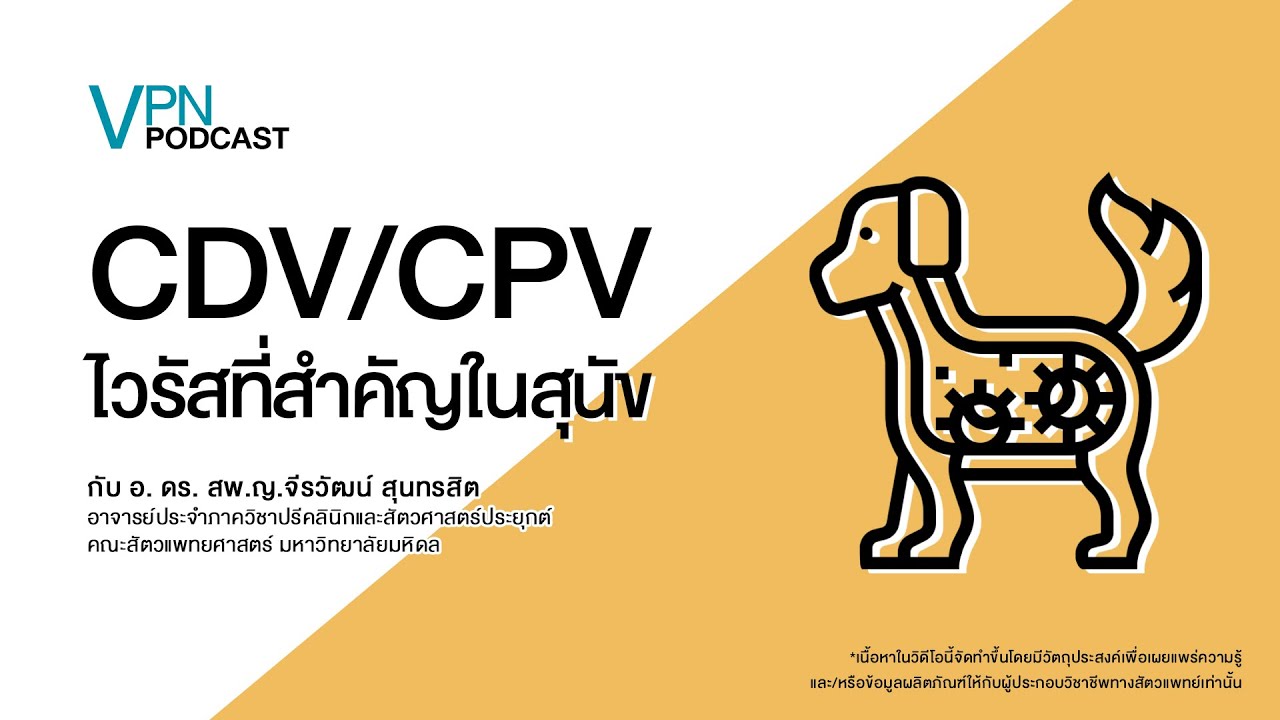 VPN Podcast EP.27 - CDV/CPV ไวรัสที่สำคัญในสุนัข