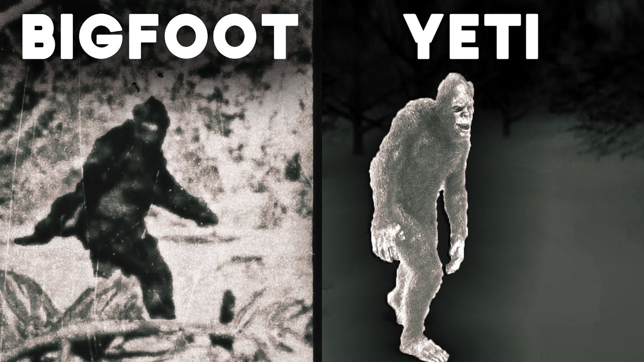 The Bigfoot & Yeti Files: Decades of Encounters and Investigations | Documentary