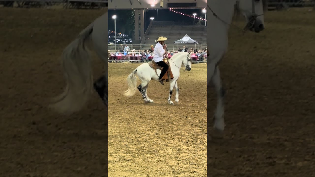 Guerrero Peralta y su caballo el Valente.                       