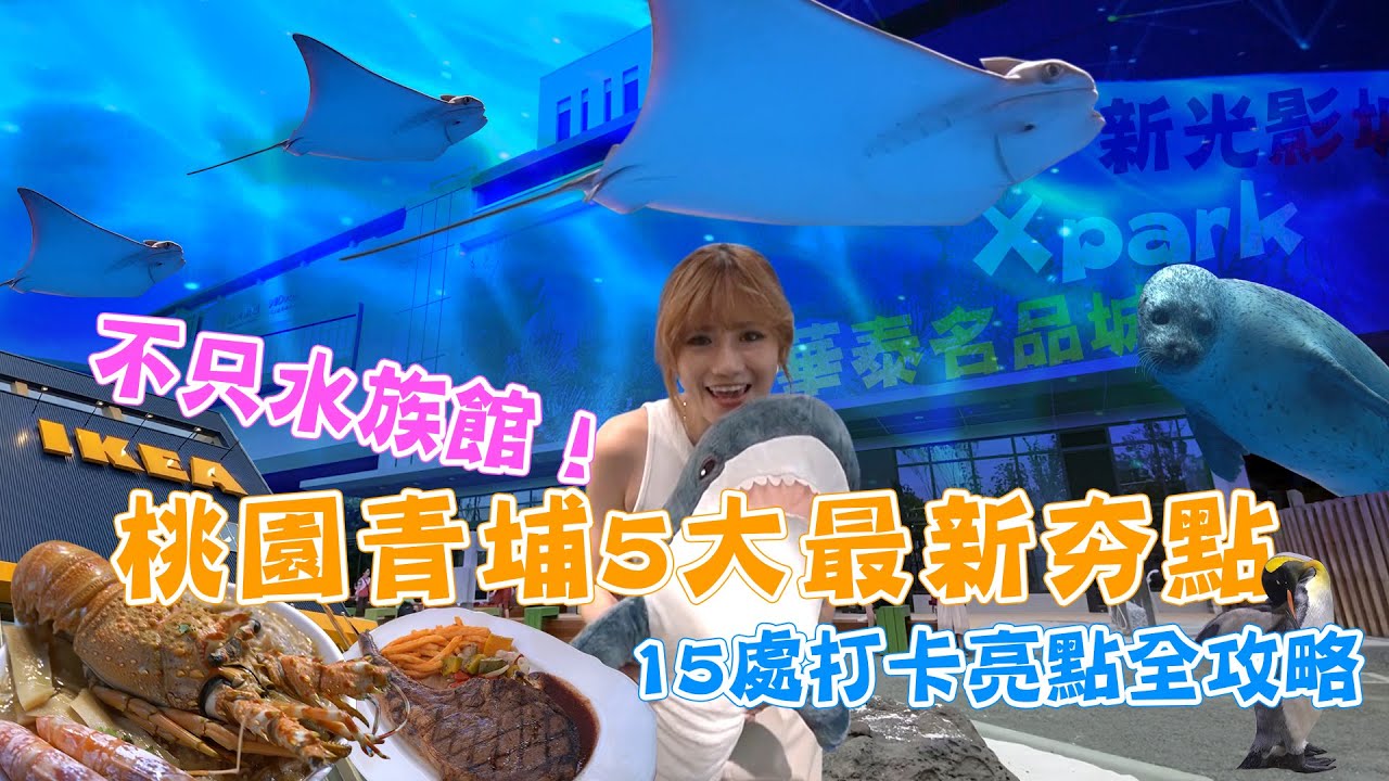 不只水族館！桃園青埔5大最新夯點 15處打卡亮點全攻略【食尚小編出任務】