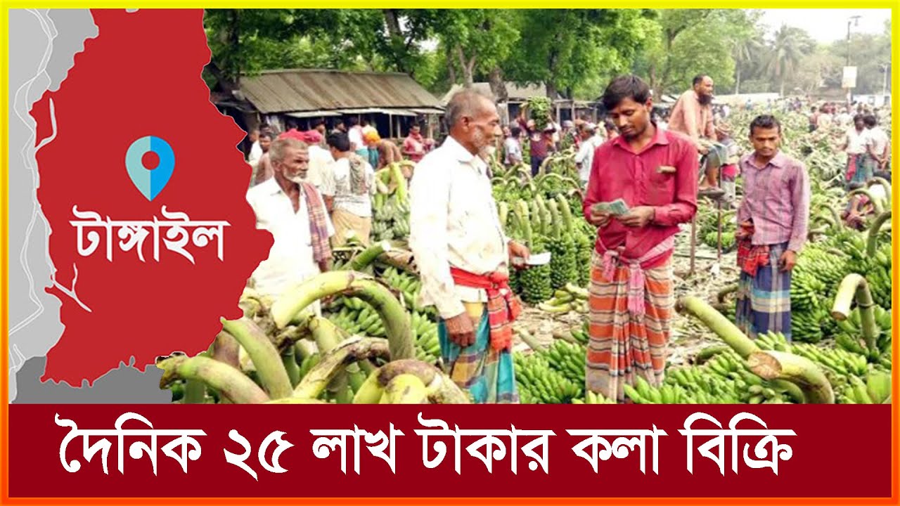 রমজান উপলক্ষে জমজমাট টাঙ্গাইলের কলার হাট !! দৈনিক ২৫ লাখ টাকা বিক্রি !! Banana Market || Tangail