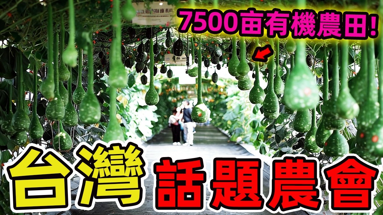 台灣十大話題農會，第一名有機驗證面積占全國27%，500公頃稻田比整個臺北大安區還大。|驚奇風向標 #世界之最 #出類拔萃 #腦洞大開 #top10 #台灣 #農會