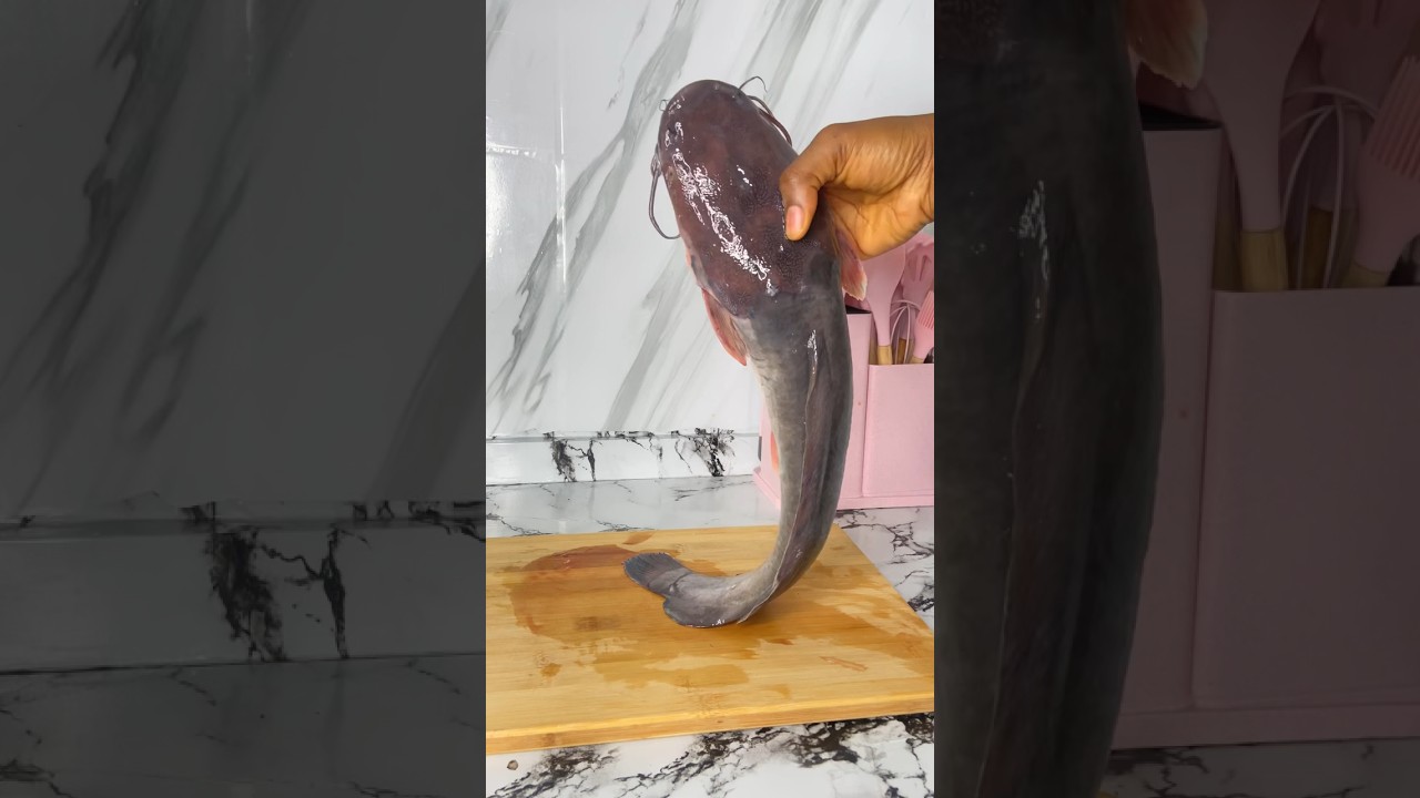 How to wash catfish | fastest way to wash catfish ( takeout the slime) | like & subscribe