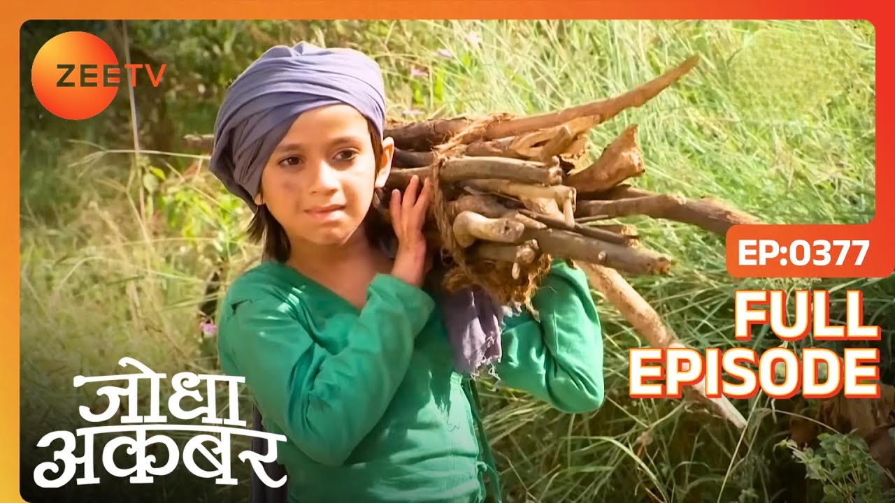 Ep. 377 | Salim काटने गया लकड़ियाँ जंगल में | Jodha Akbar | Zee TV