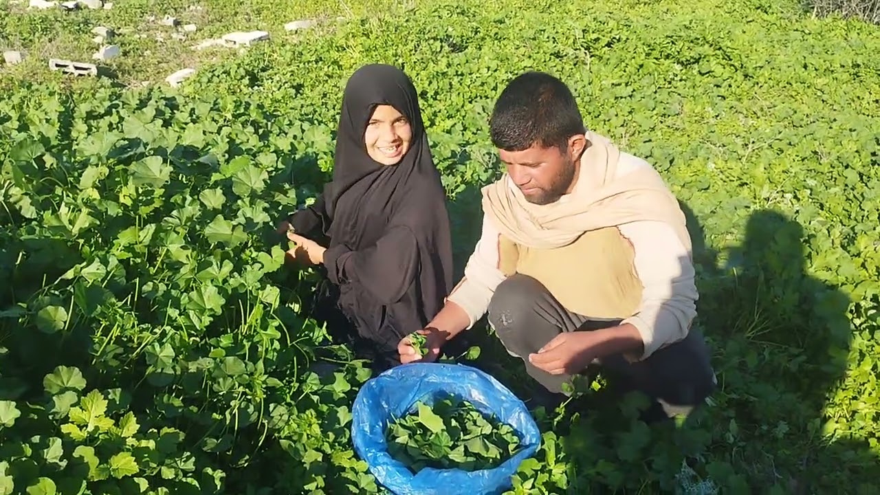 #الخبيزة تقوي النظر وحديد#اكله فلسطينية #موعنات اهل غزة #ربنا يفرجها #رغم الدمار حنعمرها#عملو مشاركه