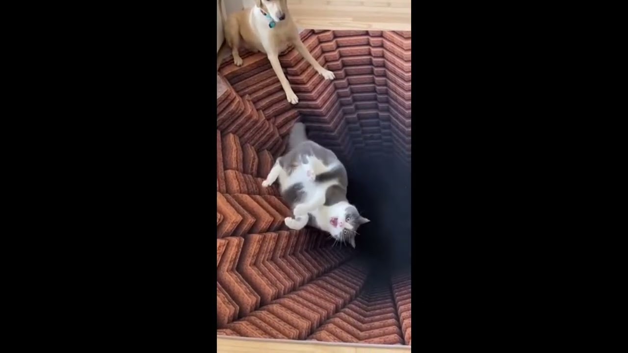 so funny #viral #trending #short