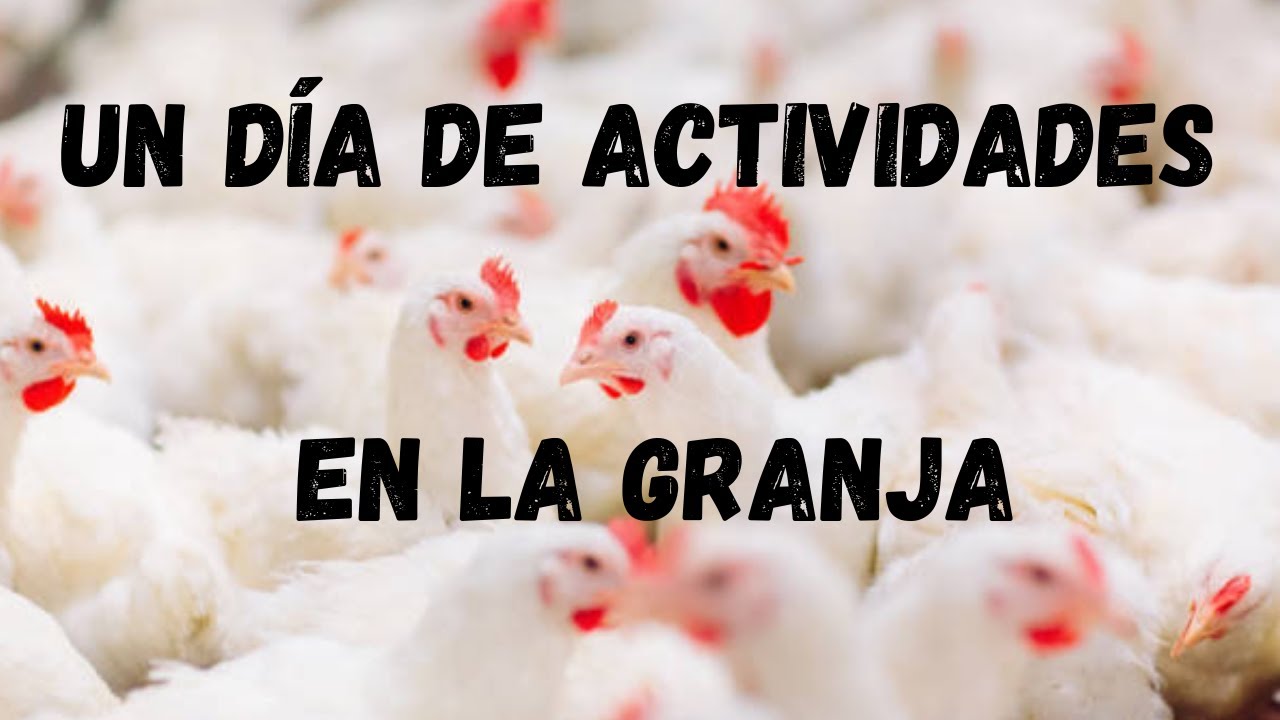 UN DIA DE ACTIVIDADES EN LA GRANJA