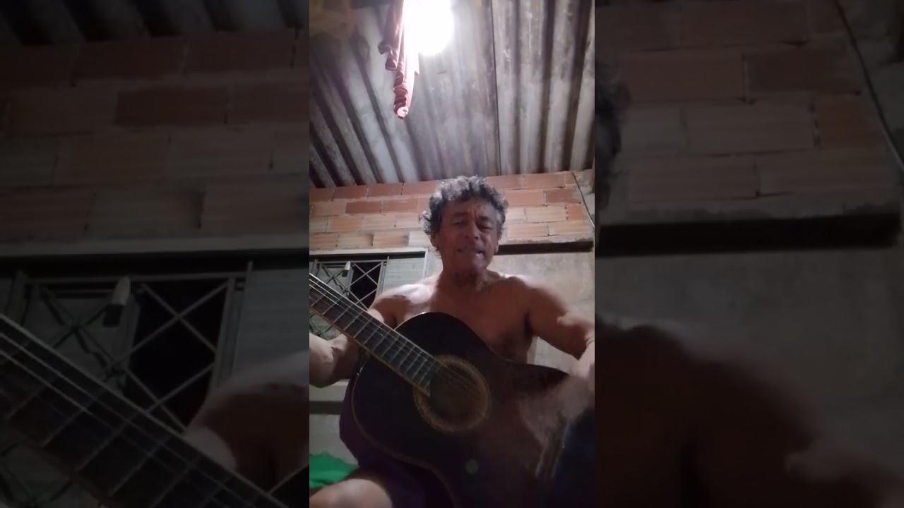 Leo Silva violão apaixonada / viola e violão