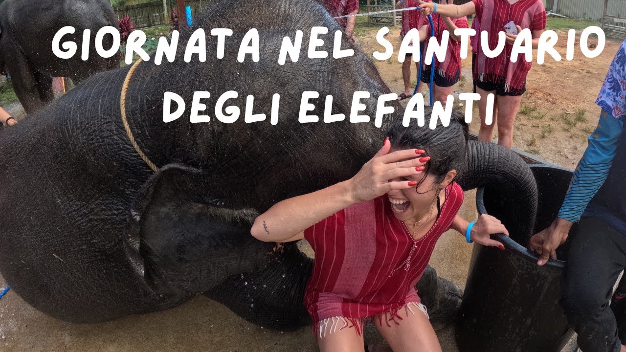 Vlog in Thailandia: visitando il santuario degli elefanti a Phuket 🐘