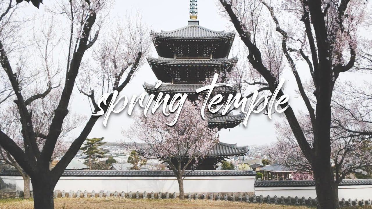 Japan trip spring temple