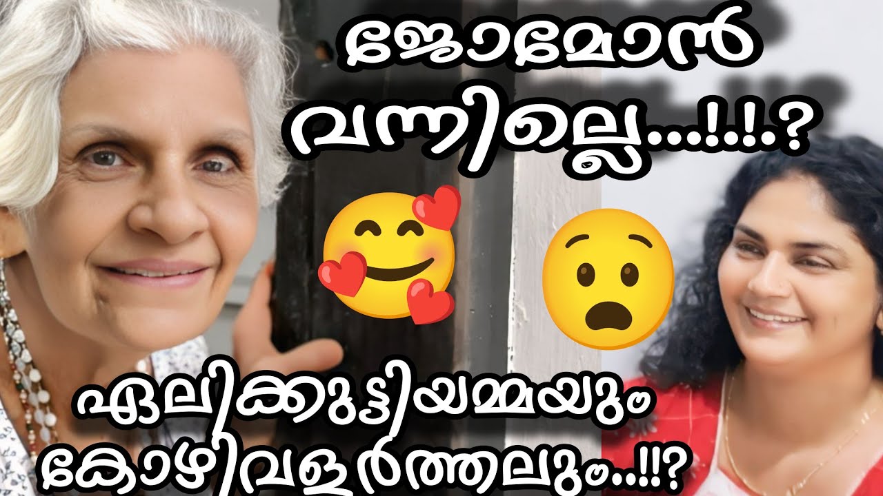 ജോമോൻ വന്നില്ലെ..?! കോഴിയെ കൊത്തിയിറക്കണം..!?#familyvlog #omallookaran  #familyvlog #omallookaran