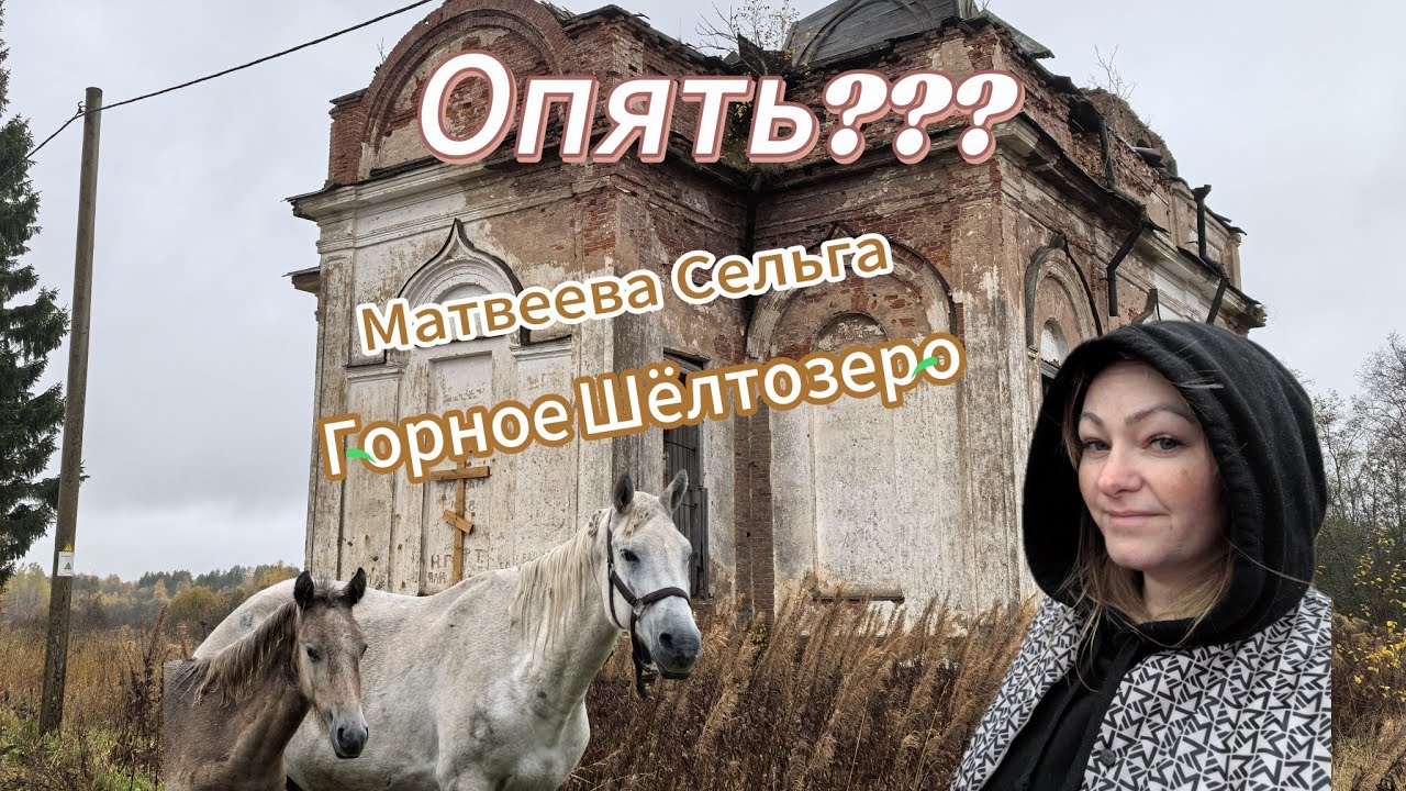 Опять???Что мы нашли😱 #карелия #вепсы #заброшки #деревня