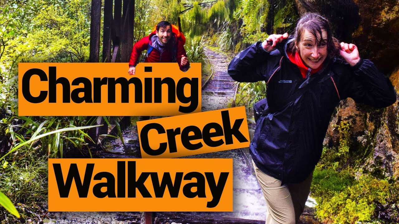 🗺️ Charming Creek Walkway on the West Coast - New Zealand's Biggest Gap Year