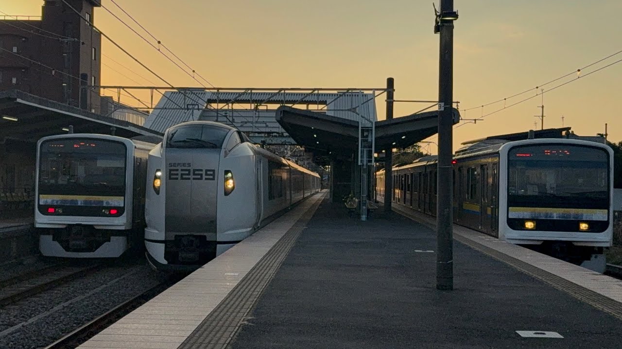 （359M）千マリC419編成（総武本線銚子行）＆（4005M）横クラNe018編成（