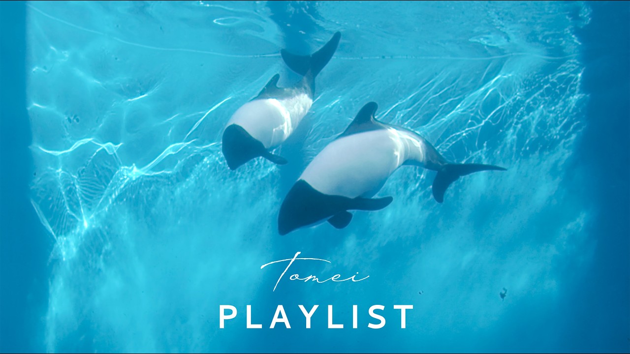 ［Playlist］Куда угодно с тобой, в глубину